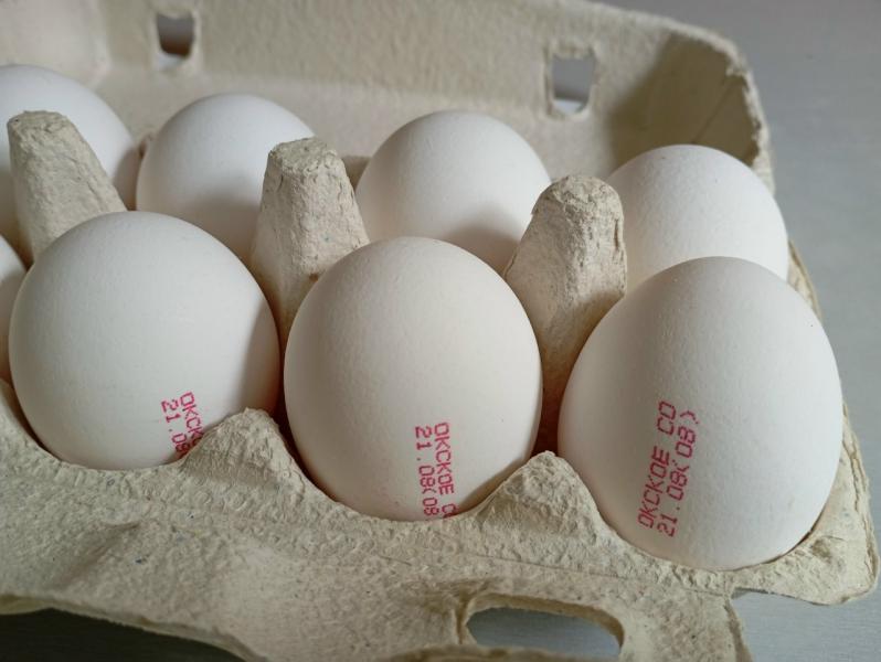 Прибыль рязанского производителя яиц снизилась за год в 1,6 раза